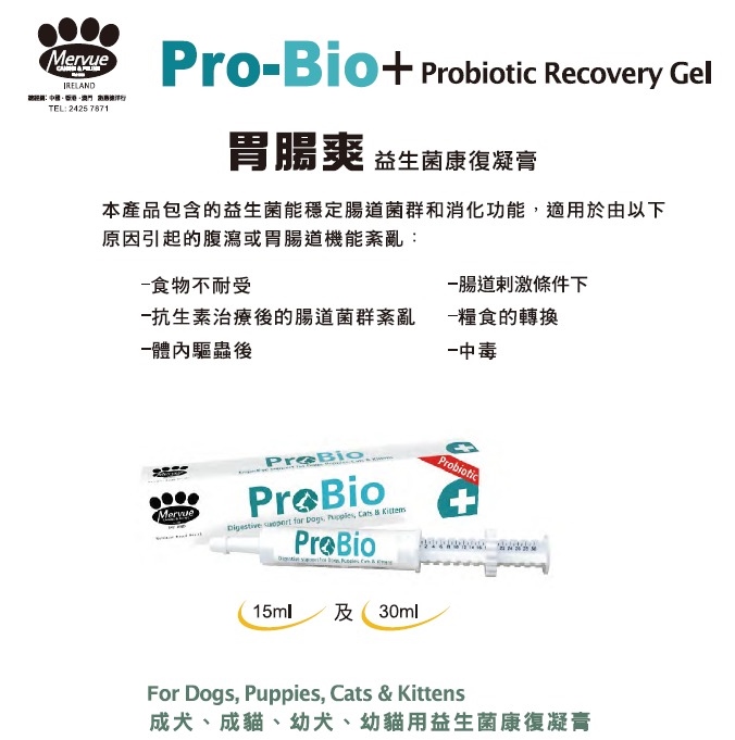 Mervue - Pro-Bio 胃腸爽益生菌康復凝膏