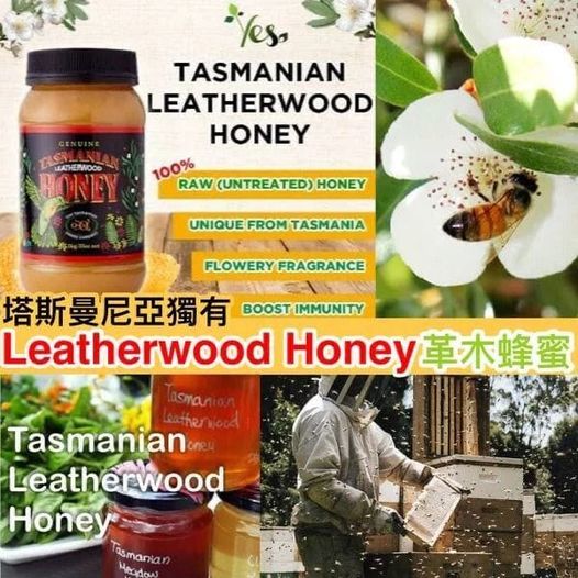 澳洲🇦🇺塔斯曼尼亞革木Leatherwood Honey蜂蜜🍯