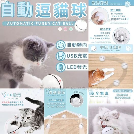 🐹自動逗貓球🏀