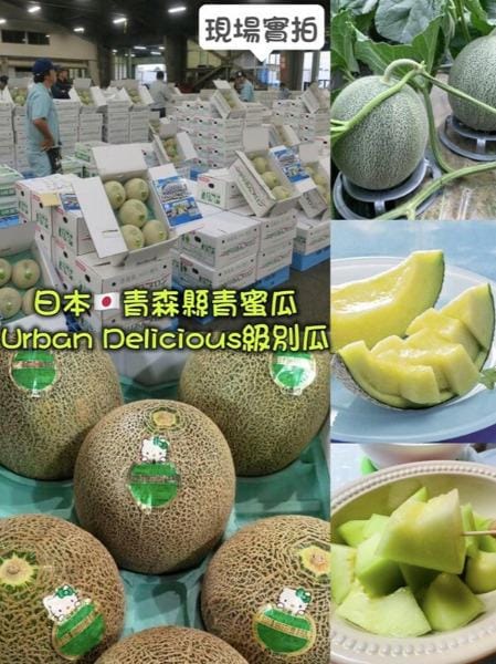 日本青森縣青蜜瓜